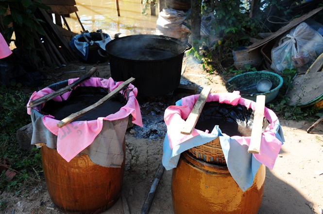 mưu sinh mùa nước lũ, mùa nước lũ miền tây, khai thác thủy sản, đánh bắt thủy sản