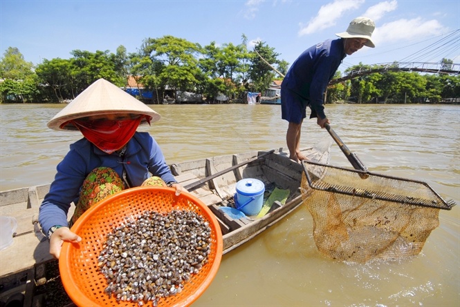 mưu sinh mùa nước lũ, mùa nước lũ miền tây, khai thác thủy sản, đánh bắt thủy sản