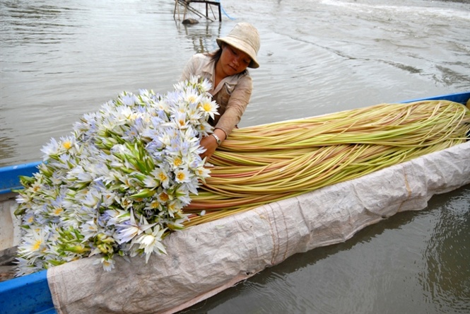 mưu sinh mùa nước lũ, mùa nước lũ miền tây, khai thác thủy sản, đánh bắt thủy sản