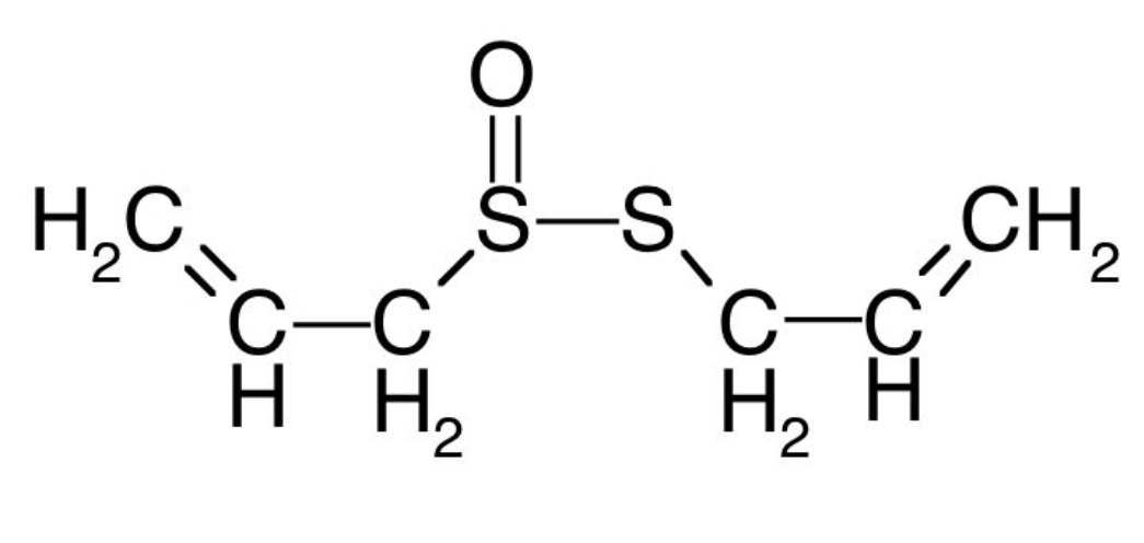 allicin toi