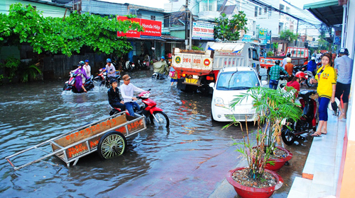 ca mau ngap nang