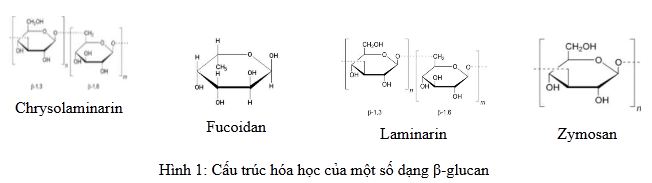 Một số dangh beta-glucan