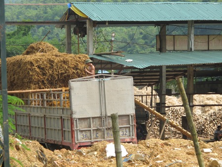 Phoi đũa đã qua ngâm kiềm lạnh chuyển lên xe ô tô.   Ảnh: Hồng Bài