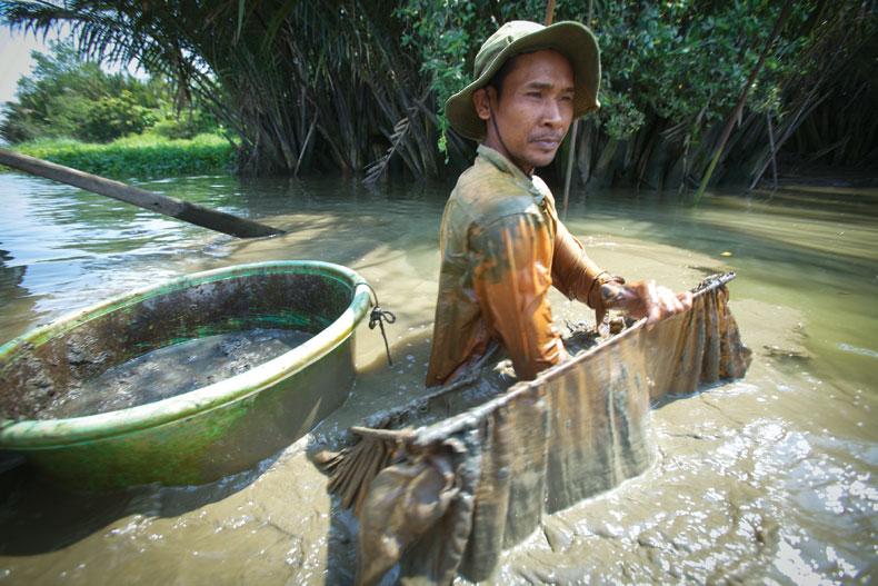 nghề bắt trùn chỉ