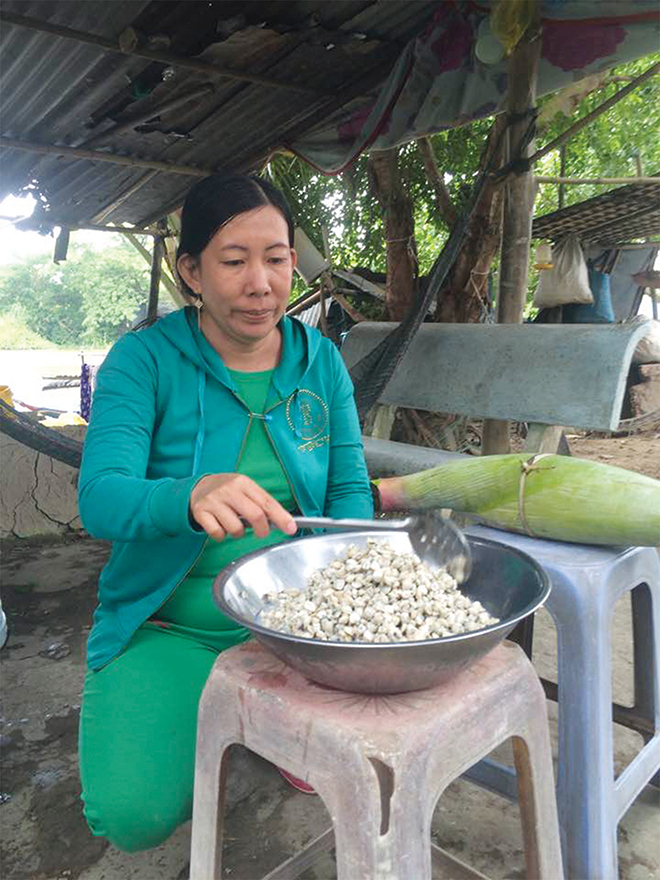 hến, con hến, nghề cào hến, nguồn lợi thủy sản, cào hến An Giang