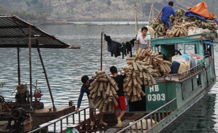 nghề chài lưới