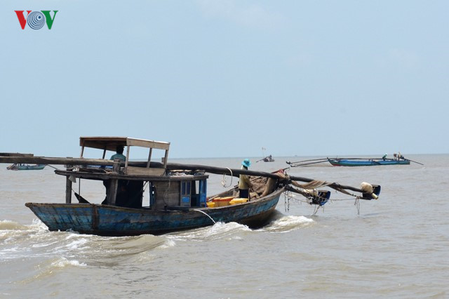 Ruốc, khai thác thủy sản, chế biến thủy sản, đẩy ruốc, nghề đẩy ruốc