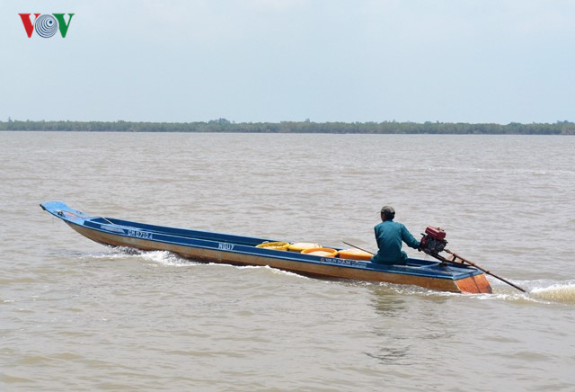 Ruốc, khai thác thủy sản, chế biến thủy sản, đẩy ruốc, nghề đẩy ruốc