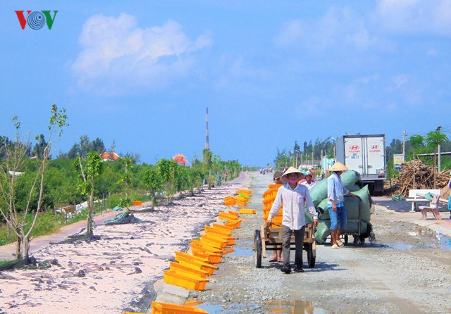 Ruốc, khai thác thủy sản, chế biến thủy sản, đẩy ruốc, nghề đẩy ruốc