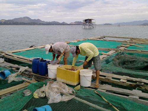 nghề nuôi thủy sản