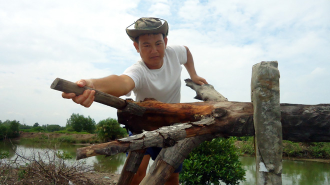 nghe nuoi tom tu nhien