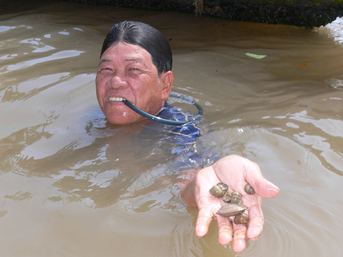 Lặn sông mò tôm, bắt ốc 