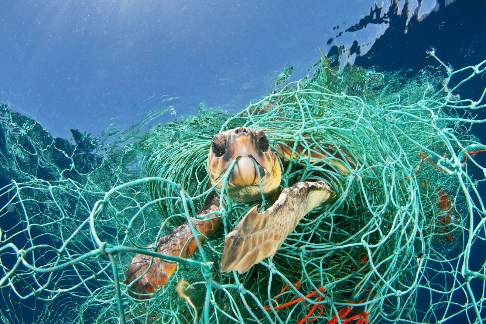 giảm rác thải biển