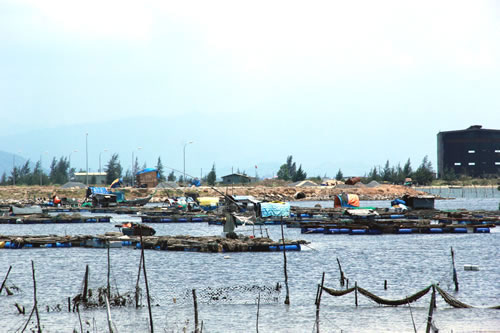 ngư dân Đà Nẵng