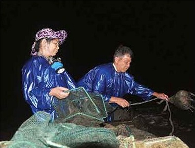 Mưu sinh bằng nghề kiếm miếng cơm từ miệng của 'hà bá', giữa dòng nước phá Tam Giang khi hiền khi dữ, 2 vợ chồng già đều mang trong mình những nỗi sợ hãi.