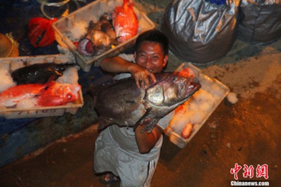 Một ngư dân Trung Quốc nhắc bổng chú cá mú câu được 