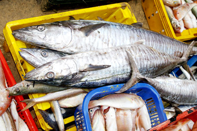 Sản phẩm của thúng chai mùa này