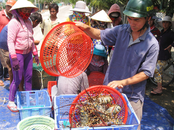 nguoi nuoi tom gap kho