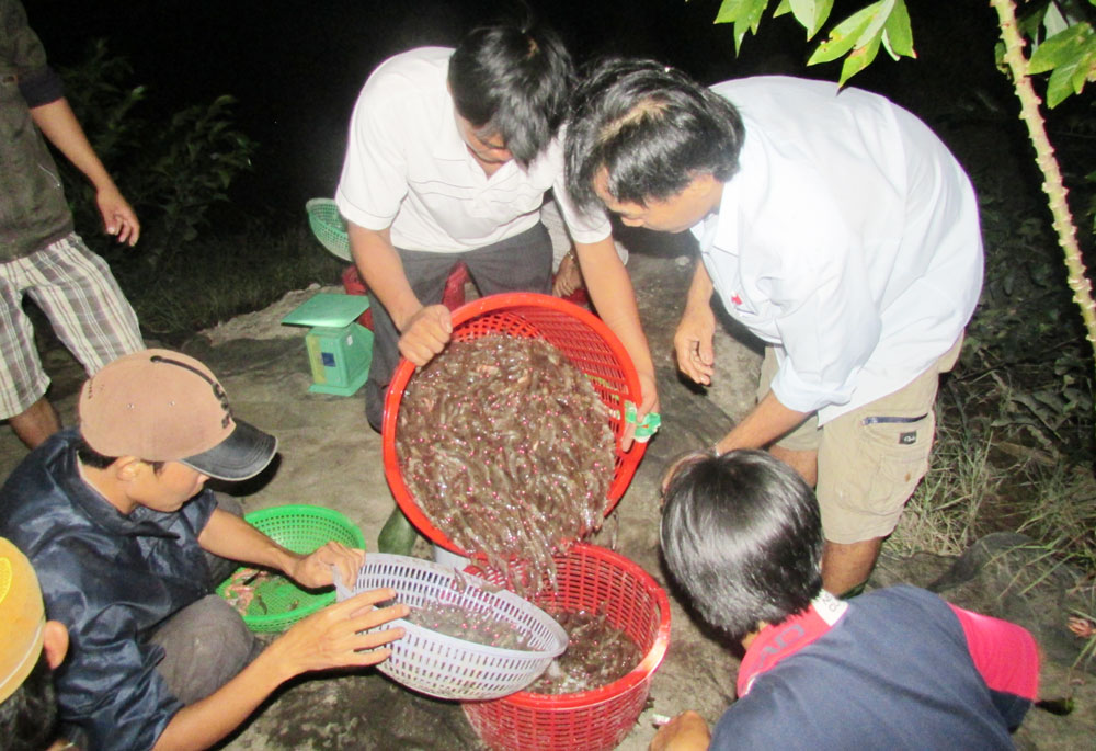 nguoi nuoi huong loi