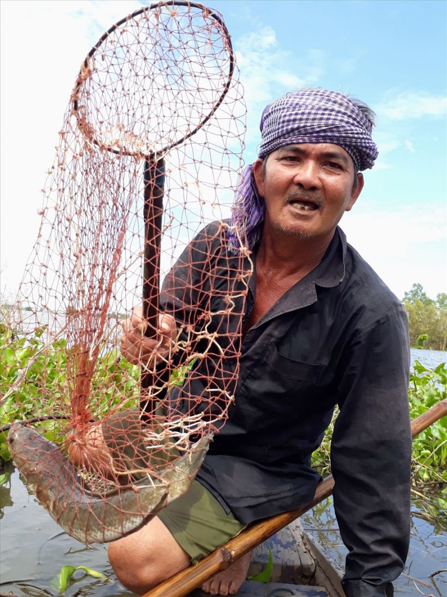 cá trên sông mêkông, cá trên sông mekong, nguồn lợi thủy sản, khát cá, cá, đánh bắt cá