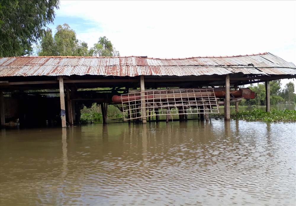 cá trên sông mêkông, cá trên sông mekong, nguồn lợi thủy sản, khát cá, cá, đánh bắt cá