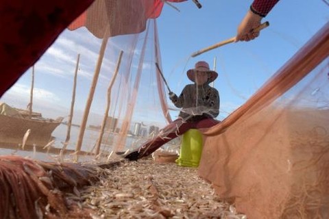 sông mekong, đánh bắt cá tôm, đánh bắt cá tôm trên sông mekong, nguồn lợi thủy sản