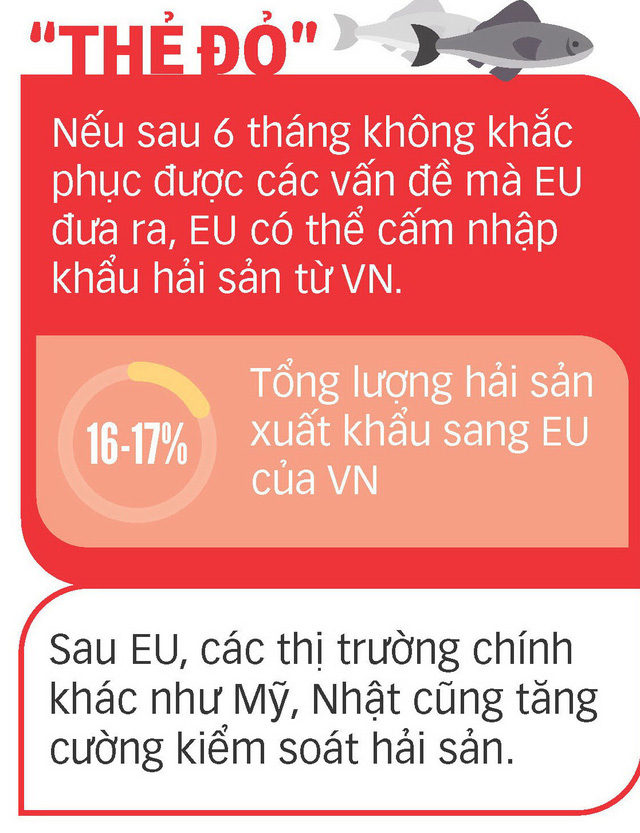 khai thác thủy sản, đánh bắt thủy sản, tàu cá, khai thác cá, khai thác IUU, thẻ vàng, thủy sản