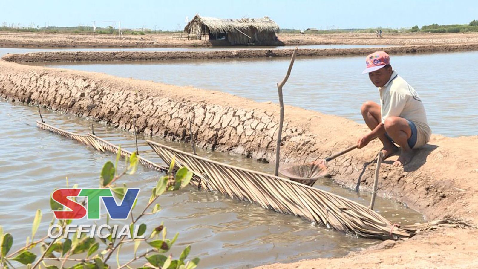 nuôi artemia, nuôi artemia Vĩnh Châu, Artemia Vĩnh Châu, người nuôi artemia