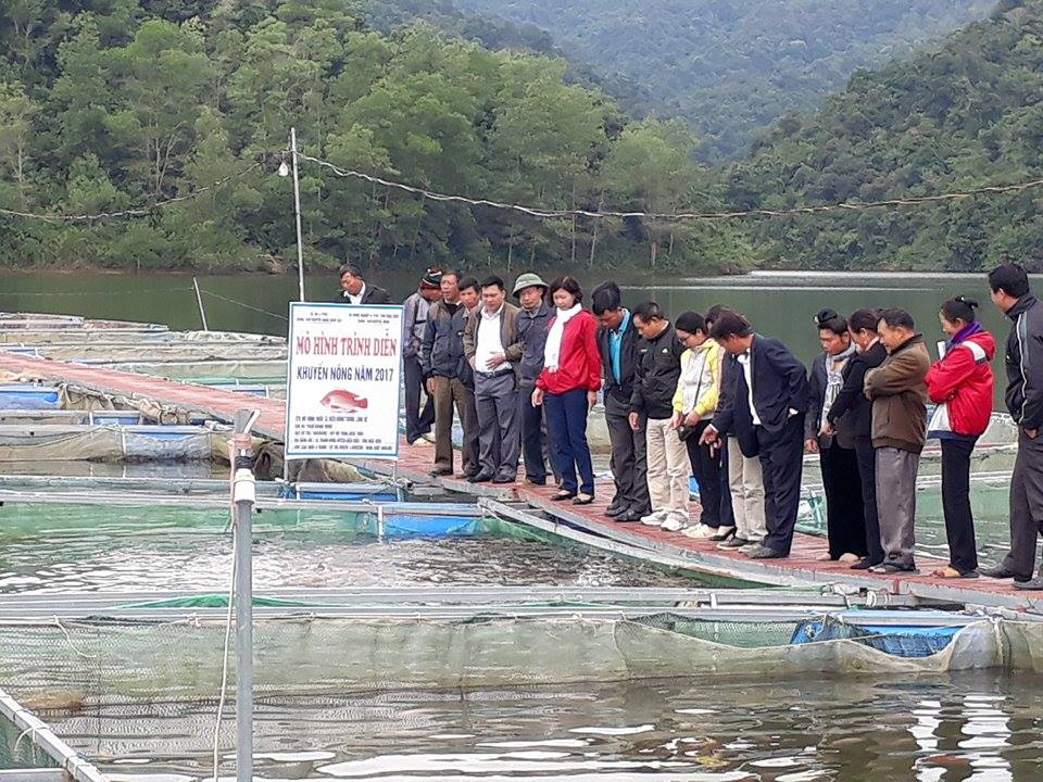 tin thủy sản, nuôi cá, nuôi tôm, cá chết, giống cá, cá, tôm, thủy sản