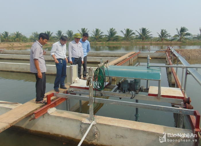 công nghệ nuôi cá, sông trong sao, nuôi cá, nuôi cá hệ thống sông trong ao, mô hình nuôi cá