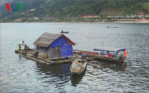 nuôi cá, nuôi cá lồng, nuôi cá lồng Điện Biên, nuôi cá lồng hồ, thủy sản