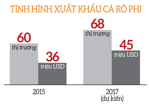 nuôi cá rô phi, nuôi cá rô phi theo VietGAP, quy trình nuôi VietGAP, cá rô phi