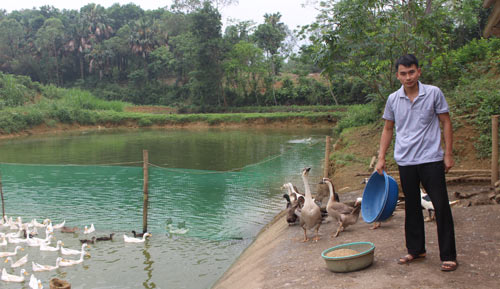 Nuôi cá giống nghề phụ cho thu nhập chính