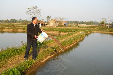 tin thủy sản, nuôi cá, nuôi tôm, cá chết, giống cá, cá, tôm, thủy sản