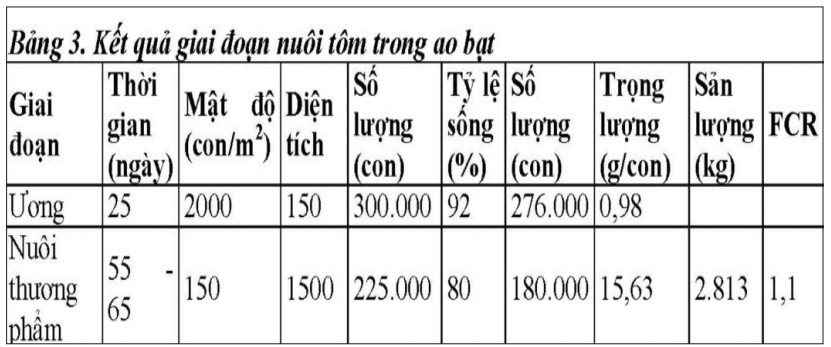 nuôi tôm ao lót bạt và ao xi măng