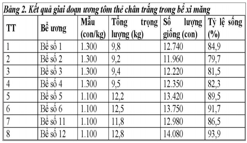 nuôi tôm ao lót bạt và ao xi măng