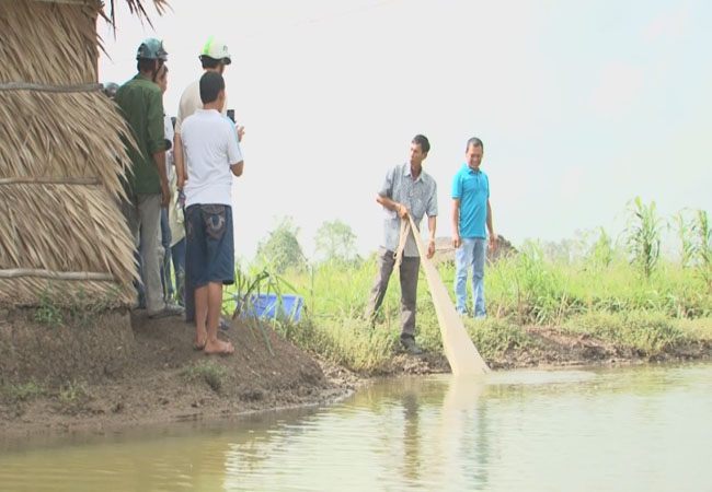 nuôi tôm giai đoạn 2