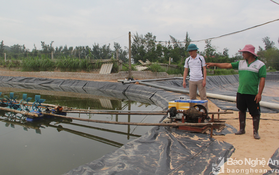 nuôi tôm mùa mưa bão, nuôi tôm mùa bão, nuôi tôm, nuôi trồng thủy sản, thuỷ sản thiệt hại do mưa bão