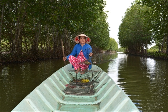 tôm sinh thái, nuôi tôm, mô hình nuôi tôm, thủy sản