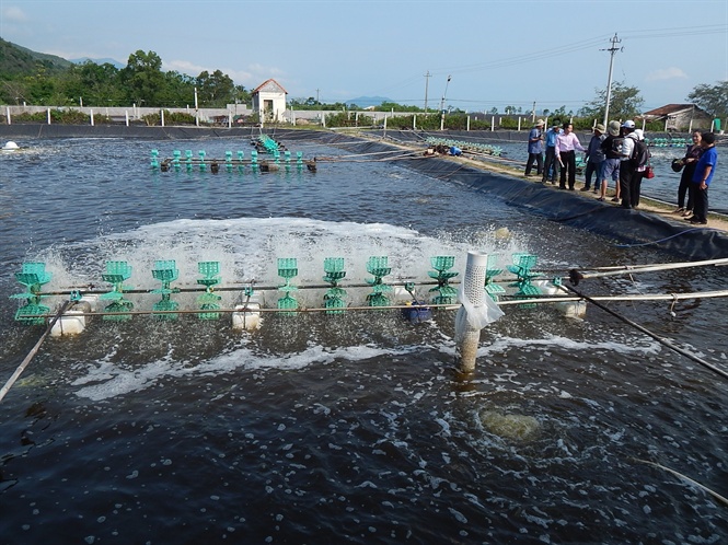 nuôi trồng, nguồn lợi thủy sản, nguồn giống, nuôi ốc, nuôi tôm thẻ