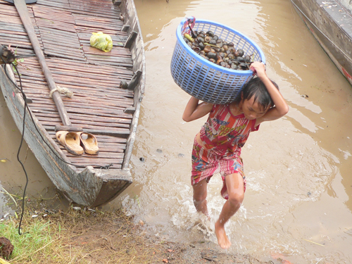 Mùa nước nổi trẻ em cũng tranh thủ đi làm kiếm tiền phụ giúp gia đình. Mỗi lần vác ốc thuê từ ghe lên bờ các em được trả công 1.000 đồng/sọt (hơn 10kg/sọt). Tuy nhiên công việc không có nhiều cho các em vì số ốc vớt được ít hơn so với nhu cầu của lực lượng lao động nhí này