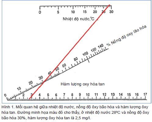 oxy và nhiệt độ