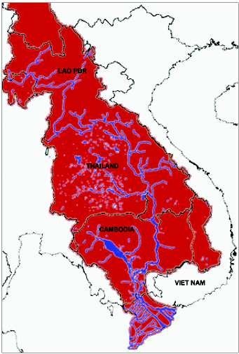 Cá heo nước ngọt, cá heo, cá heo xanh đuôi đỏ