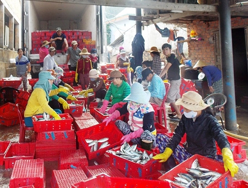 phân loại cá nục