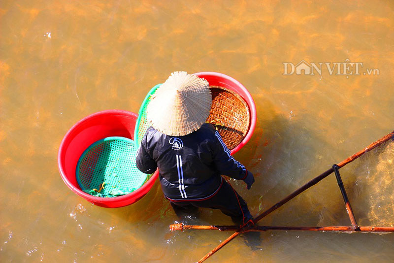 phụ nữ làm ốc nhủi