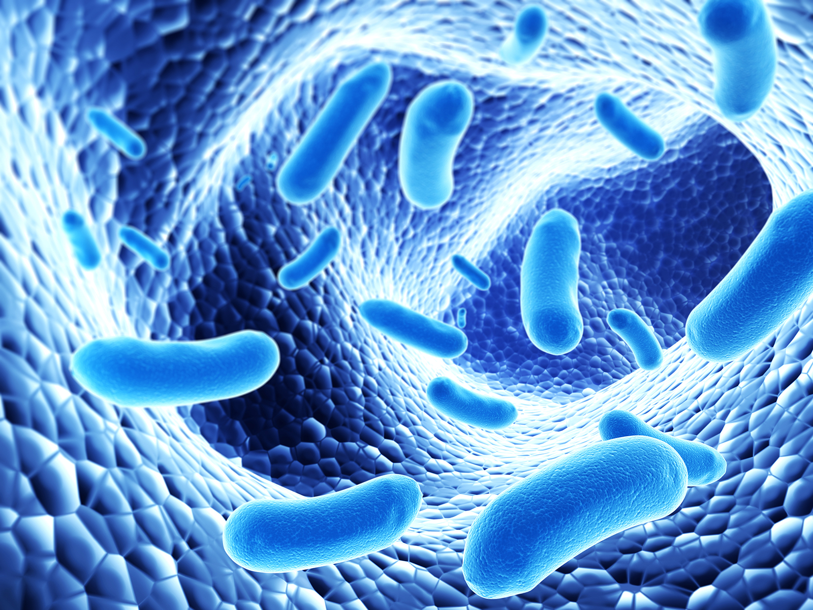 vai trò ứng dụng của probiotic