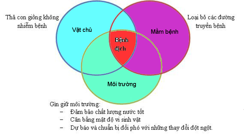 bệnh tôm, phòng bệnh cho tôm, phòng bệnh cho tôm nuôi, bệnh trên tôm nuôi