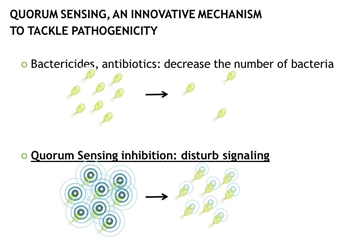 Quorum Sensing