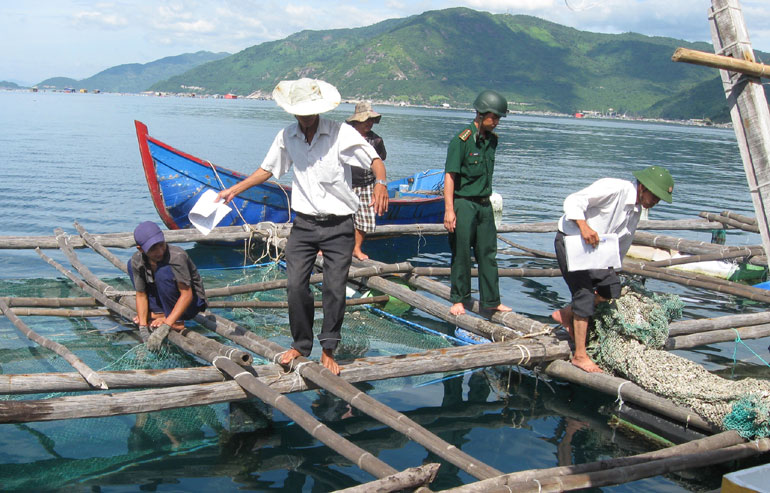 nuôi tôm hùm, nuôi tôm hùm Phú Yên, Phát triển nuôi tôm hùm, quy hoạch vùng nuôi trồng thủy sản, nuôi trồng thủy sản, vùng nuôi tôm