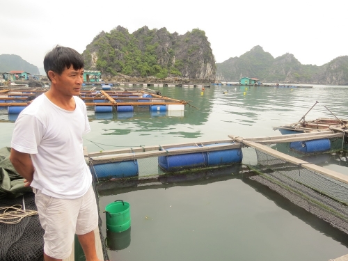 quy hoạch vùng nuôi trồng thủy sản Cẩm Phả